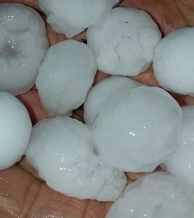 clima queda de granizo provoca estragos em cordilheira alta 2