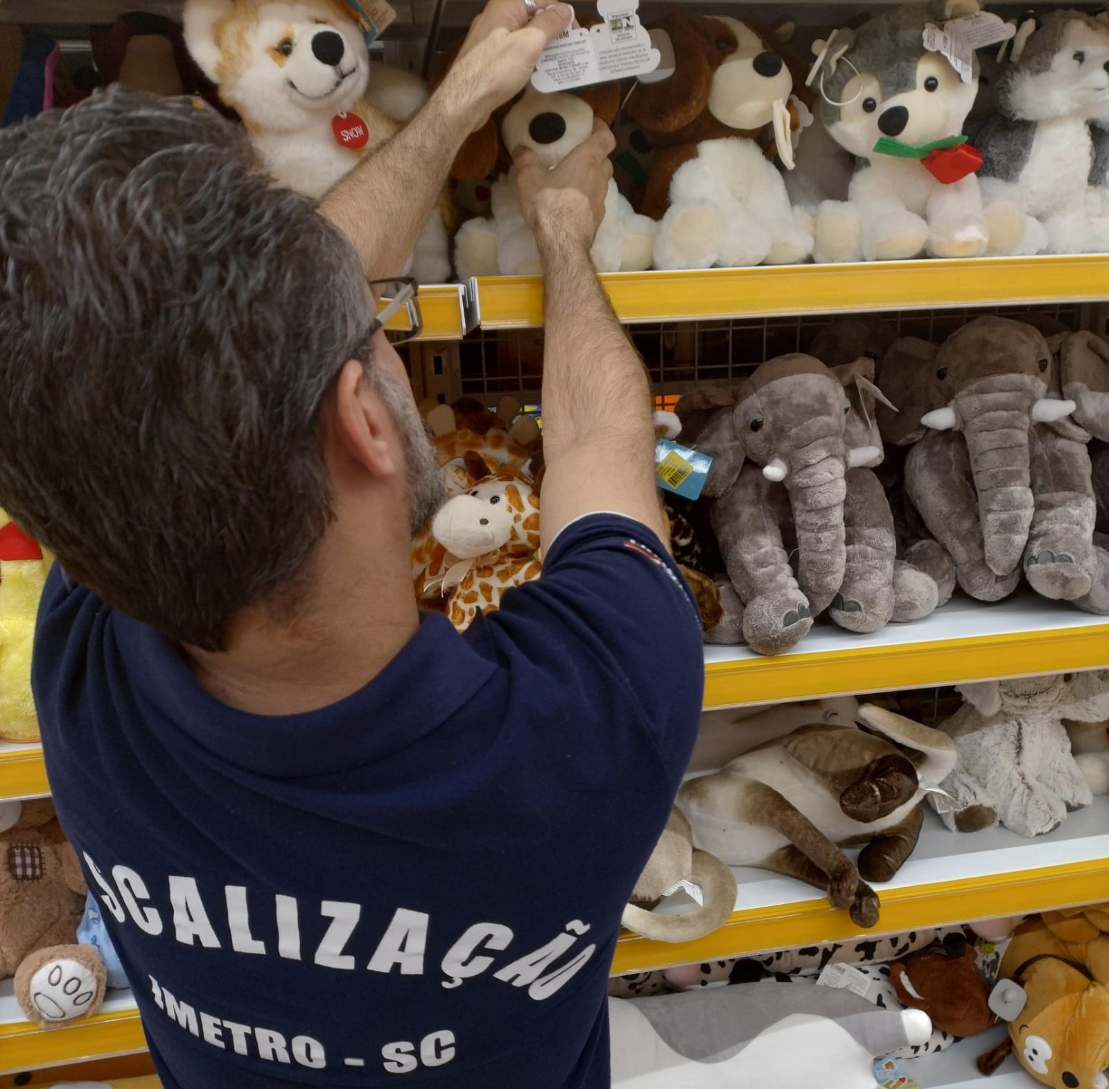 Operação Criança Segura revela irregularidades em brinquedos em Santa Catarina