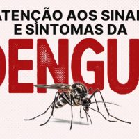 Foram identificados 12.885 focos do Aedes aegypti em 215 municípios, sendo que 155 desses são considerados infestados pelo mosquito