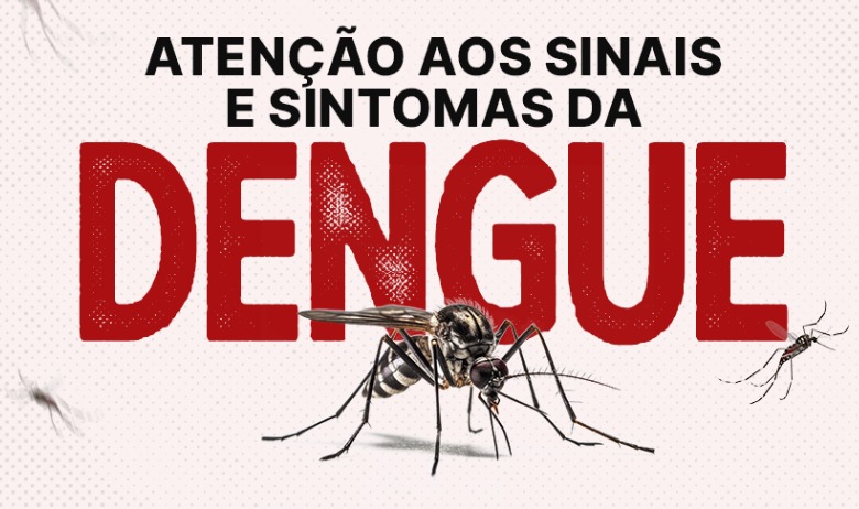 Foram identificados 12.885 focos do Aedes aegypti em 215 municípios, sendo que 155 desses são considerados infestados pelo mosquito