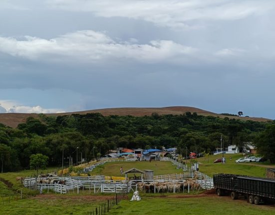 Tradição e cultura gaúcha presentes no Rodeio em São Domingos