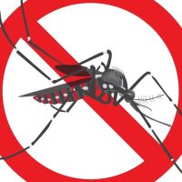 Oeste registra primeira morte por dengue