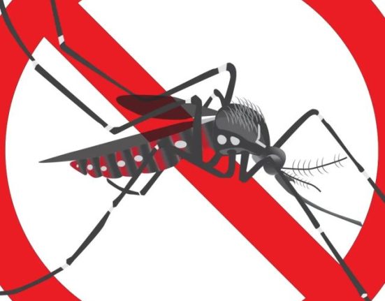 São Domingos confirma terceiro caso de Dengue