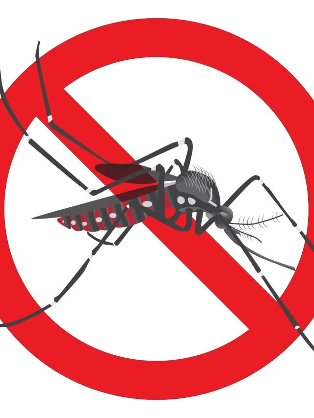 Oeste registra primeira morte por dengue