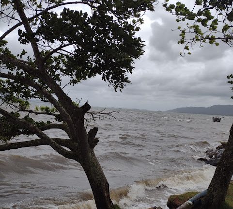 Chuva persistente e volumosa em Santa Catarina