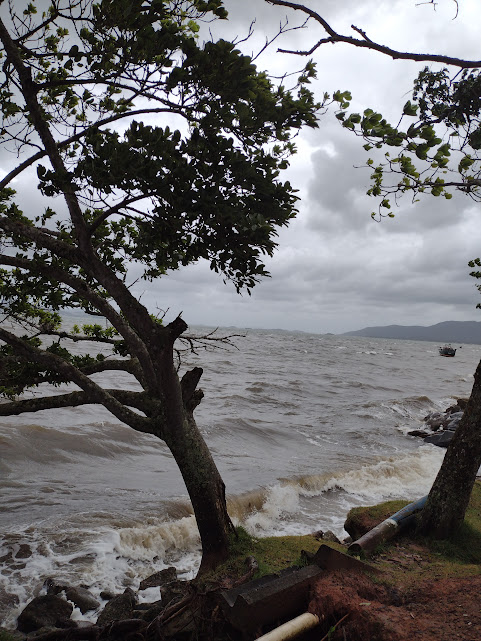 Chuva persistente e volumosa em Santa Catarina