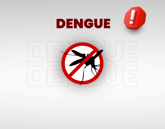 Aumento nos casos de dengue em São Domingos