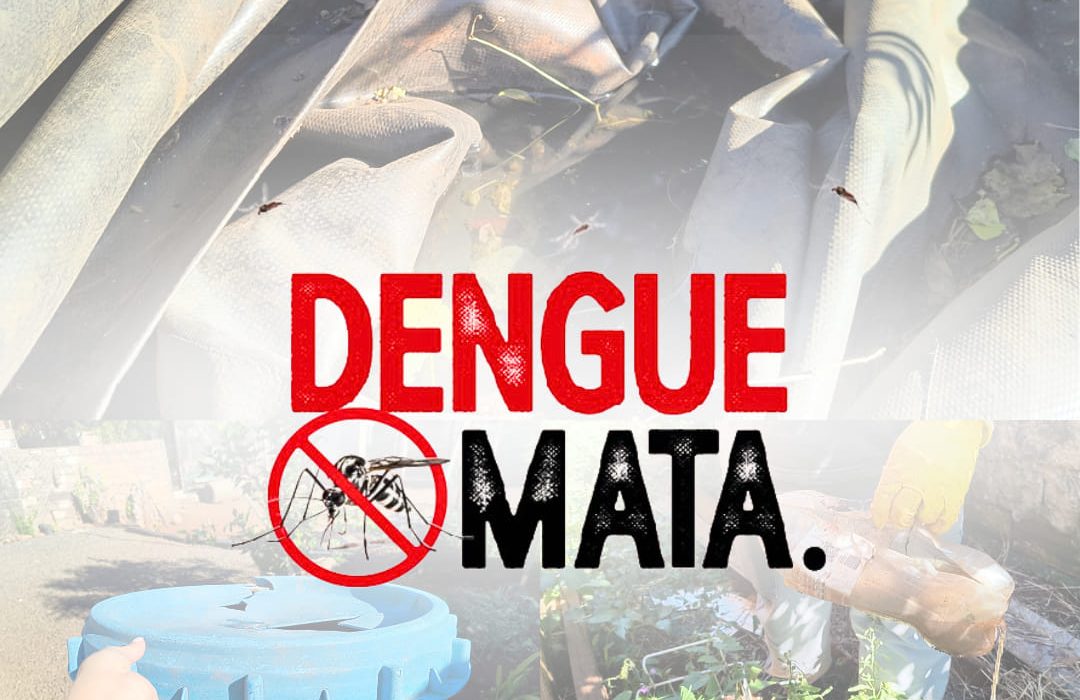 Dengue atinge 277 casos confirmados em Ipuaçu