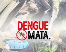Dengue atinge 277 casos confirmados em Ipuaçu