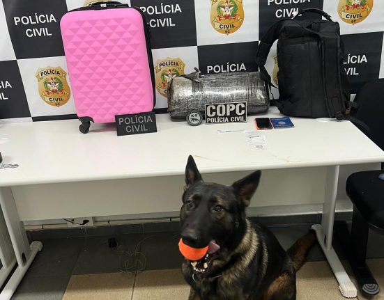 Foto Polícia Civil