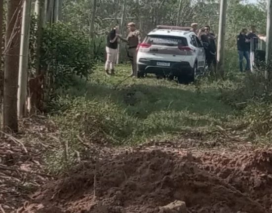 Foto Polícia Civil/Divulgação