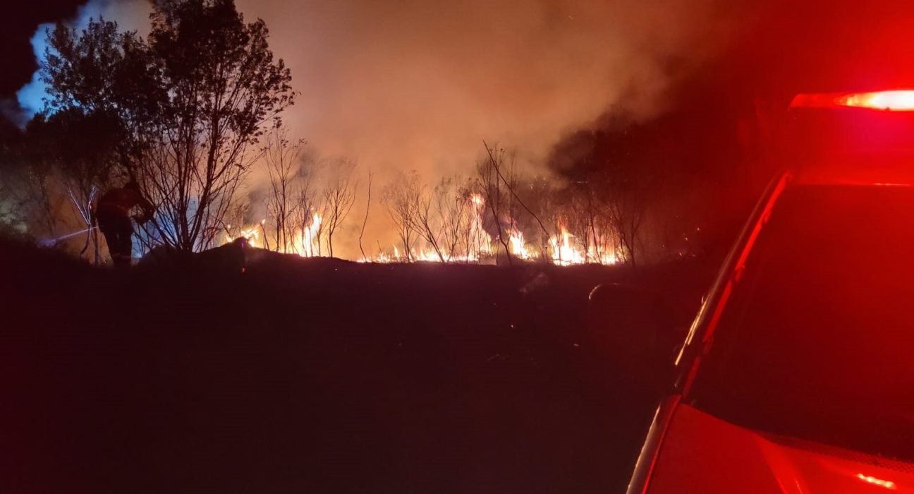 Incêndio de grandes proporções atinge área de vegetação em Bom Jesus