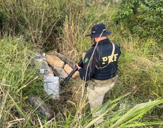 PRF encontra 495 kg de maconha abandonada na BR 282