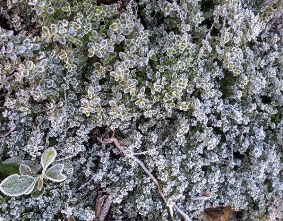 Frio intenso e possibilidade de neve nesta madrugada