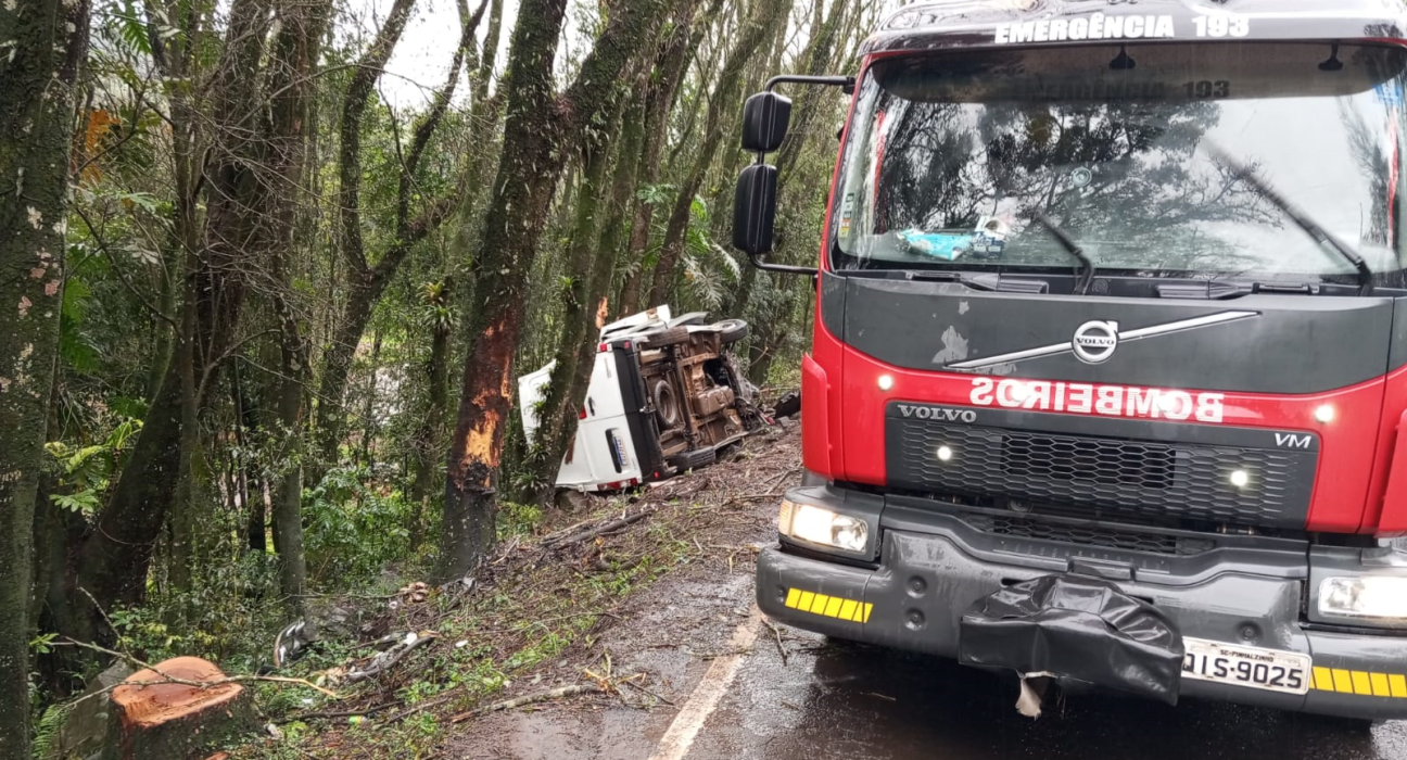 Condutora sai ilesa após van colidir com árvores na BR-282