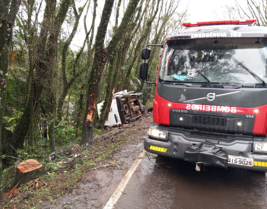 Condutora sai ilesa após van colidir com árvores na BR-282