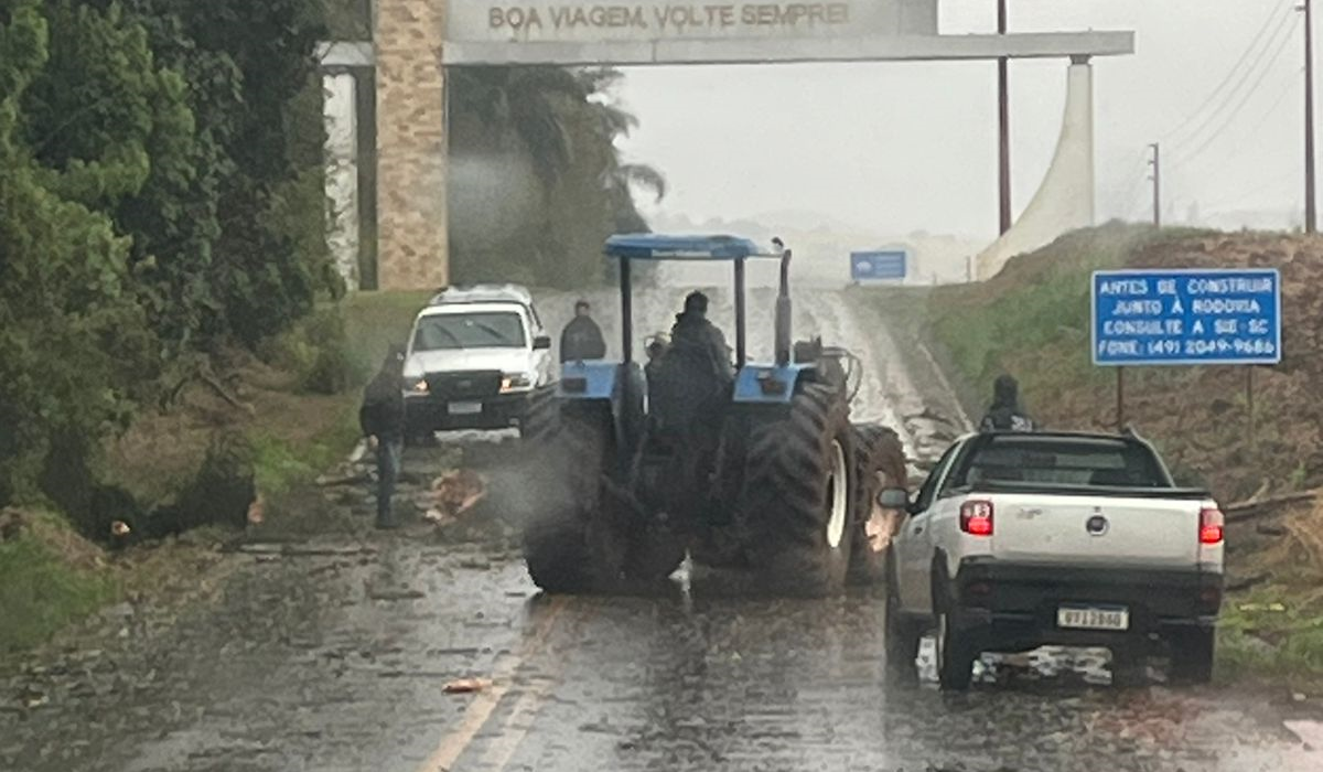 Em São Domingos, houve registro na SC 480, saída para Galvão, onde uma árvore caiu sob a rodovia