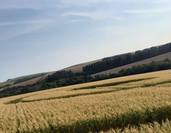 Investigação aponta ação humana no agroglifo de Ipuaçu