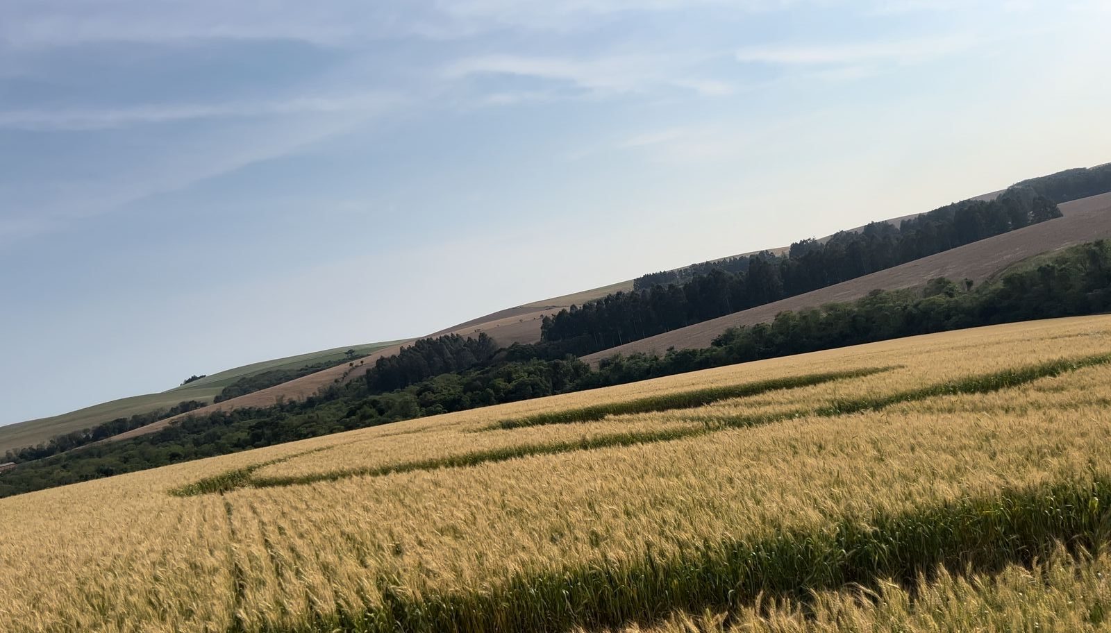 Investigação aponta ação humana no agroglifo de Ipuaçu