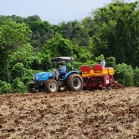 Secretaria de Agricultura auxilia no plantio de milho em São Domingos