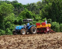 Secretaria de Agricultura auxilia no plantio de milho em São Domingos