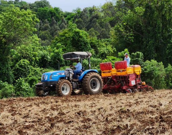 Secretaria de Agricultura auxilia no plantio de milho em São Domingos