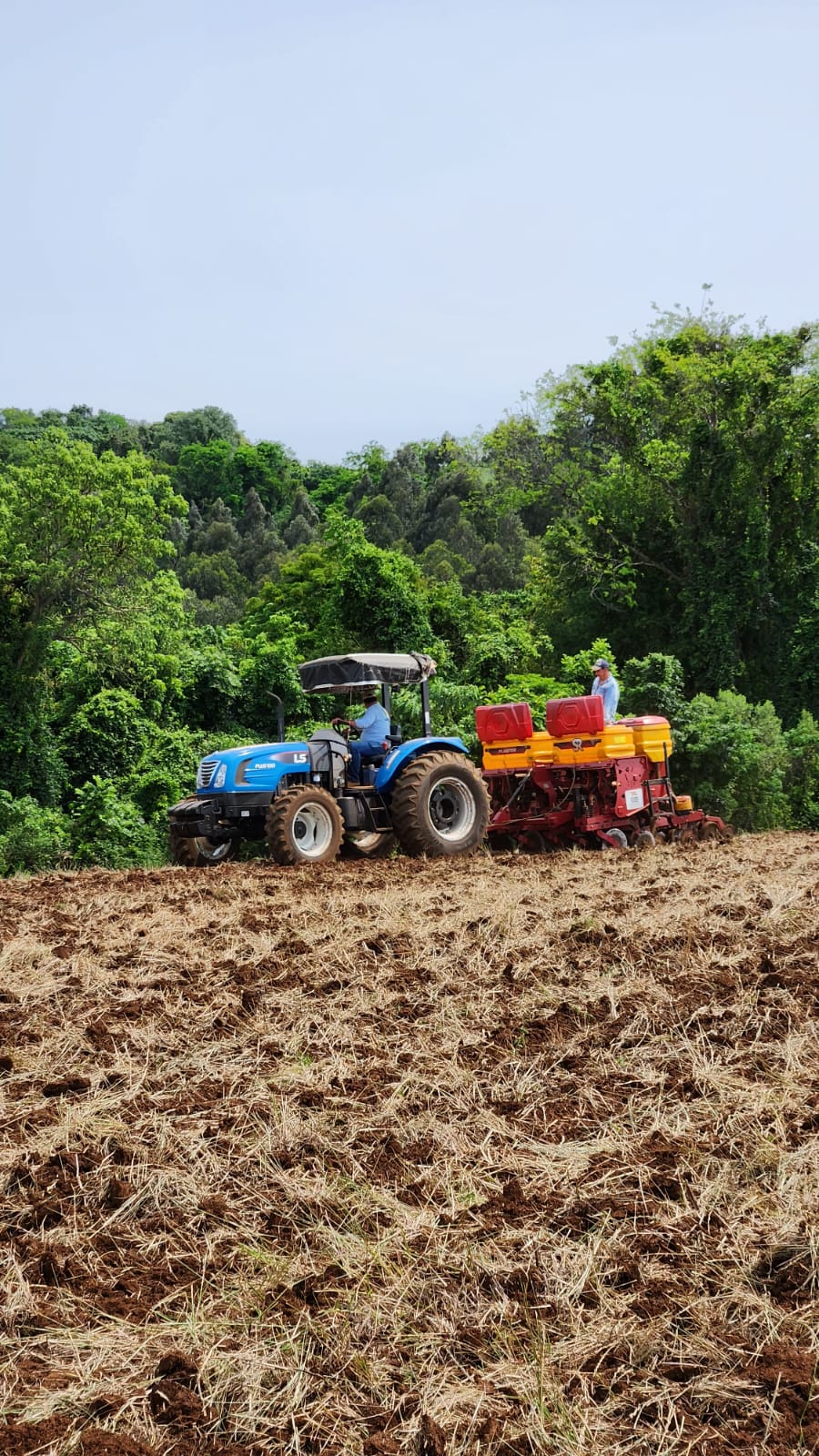 Secretaria de Agricultura auxilia no plantio de milho em São Domingos