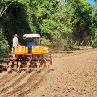 Secretaria de Agricultura intensifica trabalhos em São Domingos