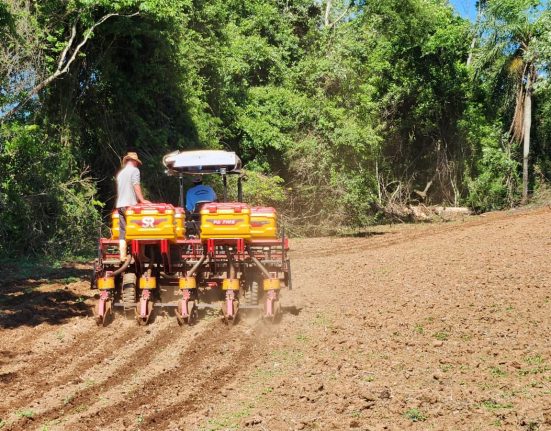 Secretaria de Agricultura intensifica trabalhos em São Domingos