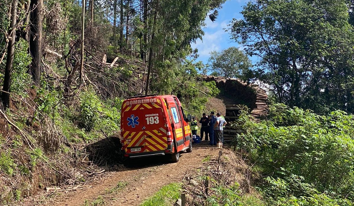 Jovem morre atingido por árvore durante trabalho