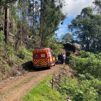 Jovem morre atingido por árvore durante trabalho