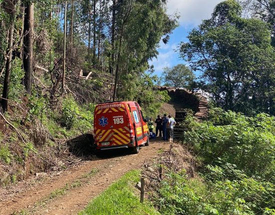 Jovem morre atingido por árvore durante trabalho