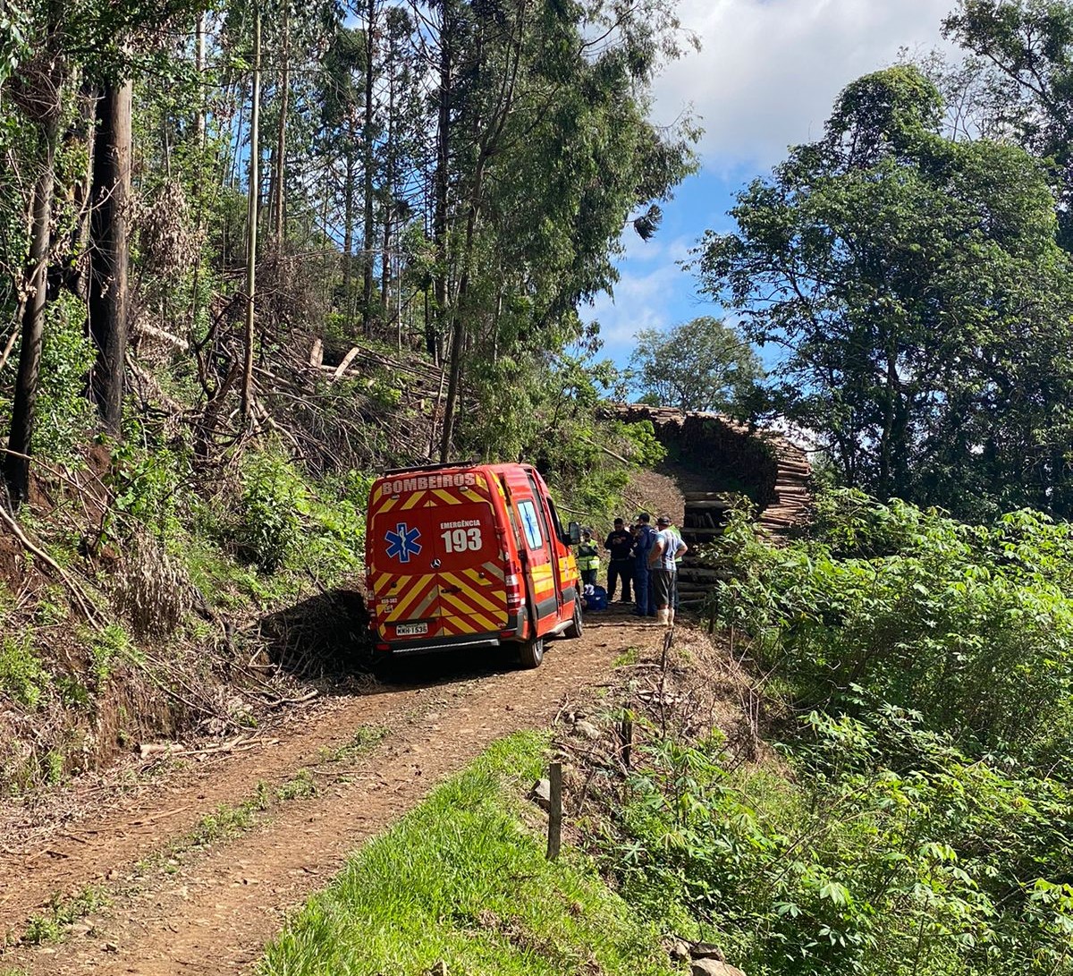 Jovem morre atingido por árvore durante trabalho