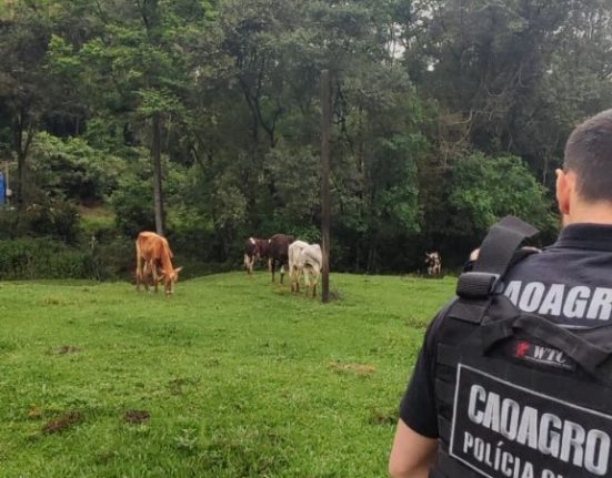 Fotos Polícia Civil