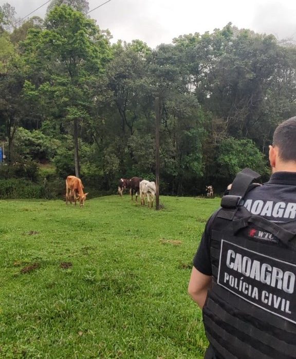 Fotos Polícia Civil