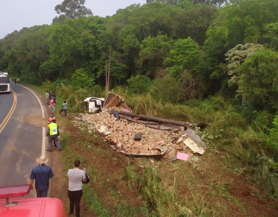 O caminhão estava carregado com fardos de salgadinhos, batatas e bolachas, que se espalharam no local do acidente