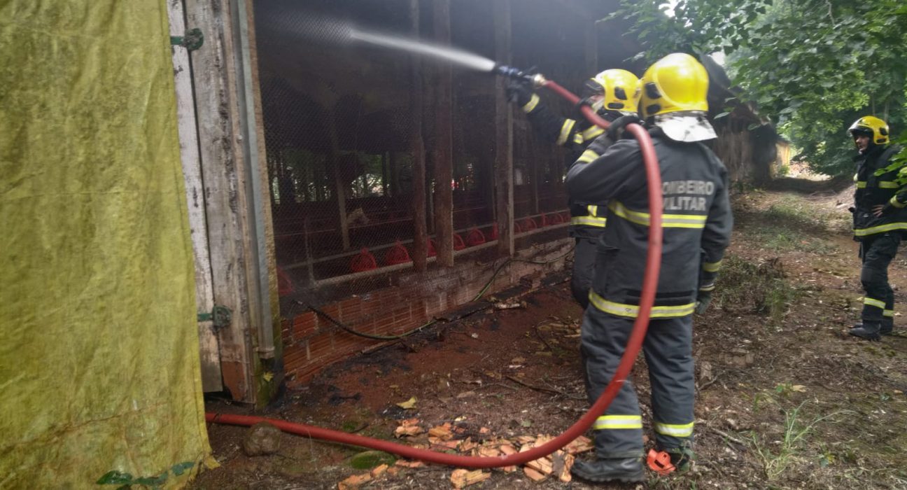 Incêndio em aviário mobiliza bombeiros no Oeste