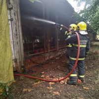 Incêndio em aviário mobiliza bombeiros no Oeste