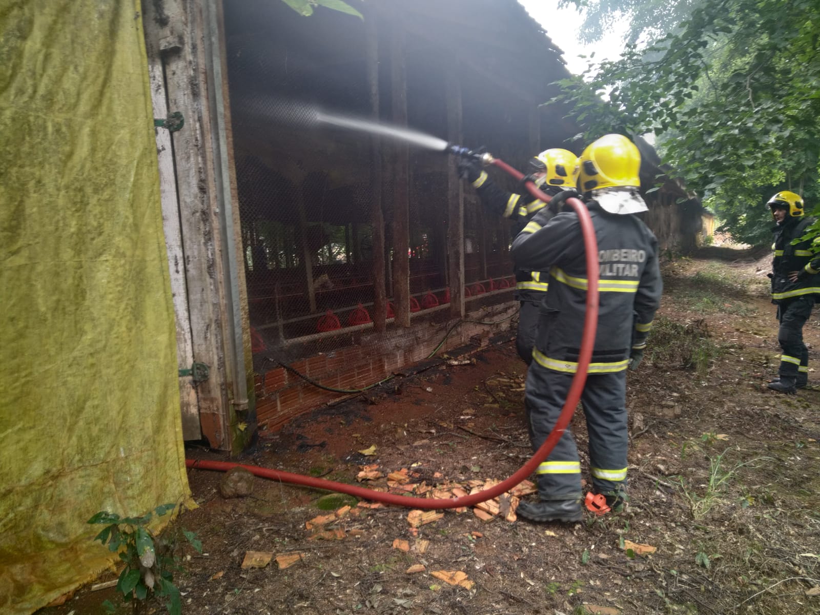 Incêndio em aviário mobiliza bombeiros no Oeste