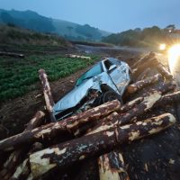 Caminhão tomba e toras espalhadas causam acidente com cinco veículos