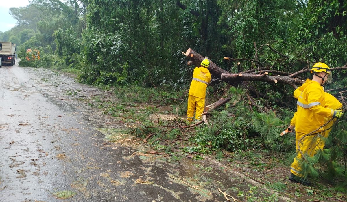 O incidente interrompeu o trânsito na região, causando transtornos aos motoristas.