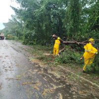 O incidente interrompeu o trânsito na região, causando transtornos aos motoristas.