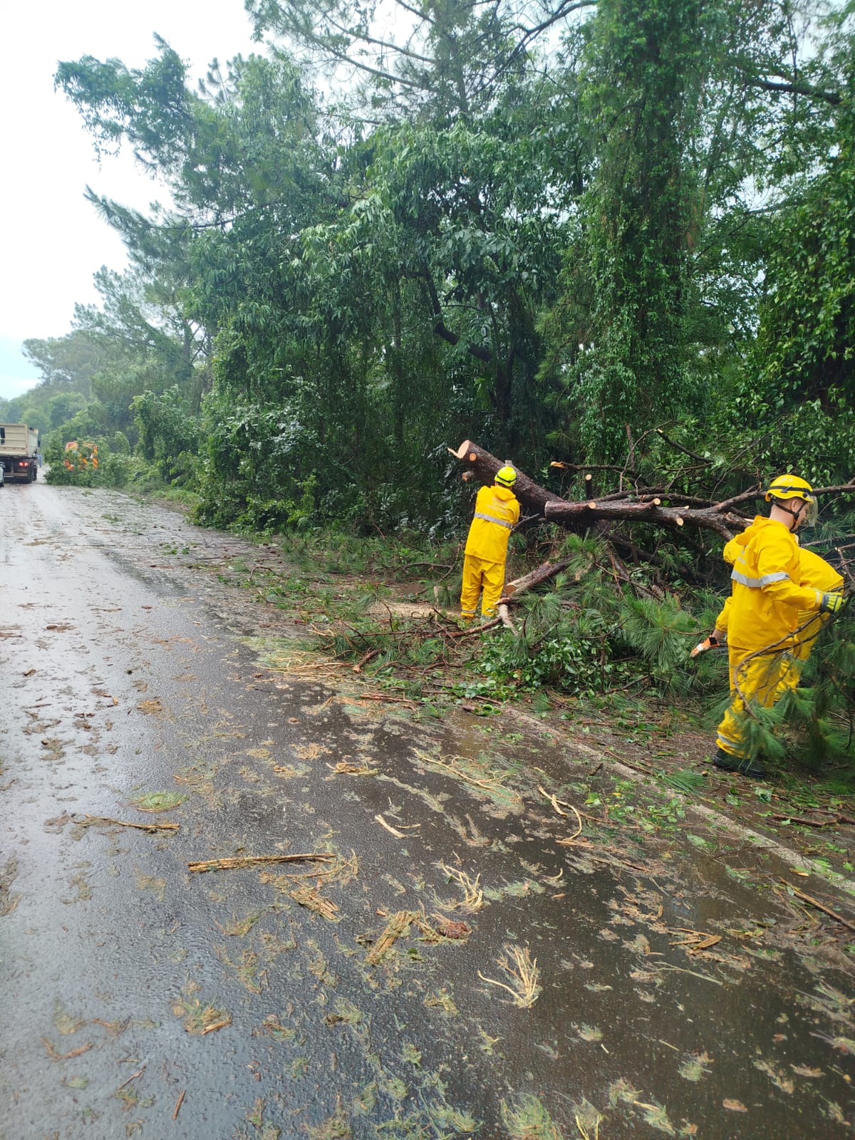 O incidente interrompeu o trânsito na região, causando transtornos aos motoristas.