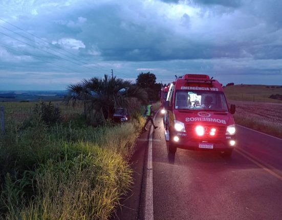 Acidente na SC-480 em São Domingos deixa idoso ferido