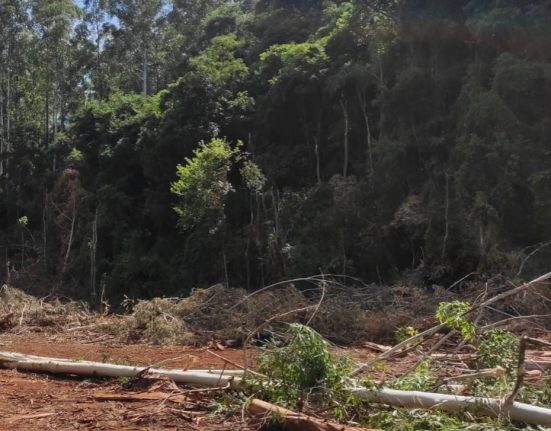 Homem morre em acidente de trabalho em Coronel Freitas