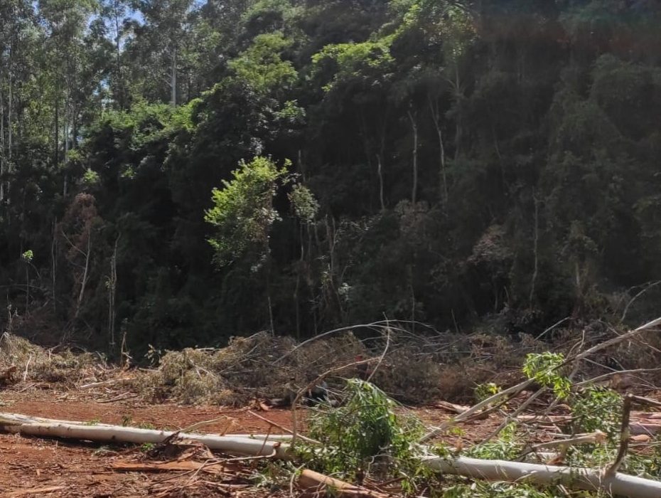 Homem morre em acidente de trabalho em Coronel Freitas