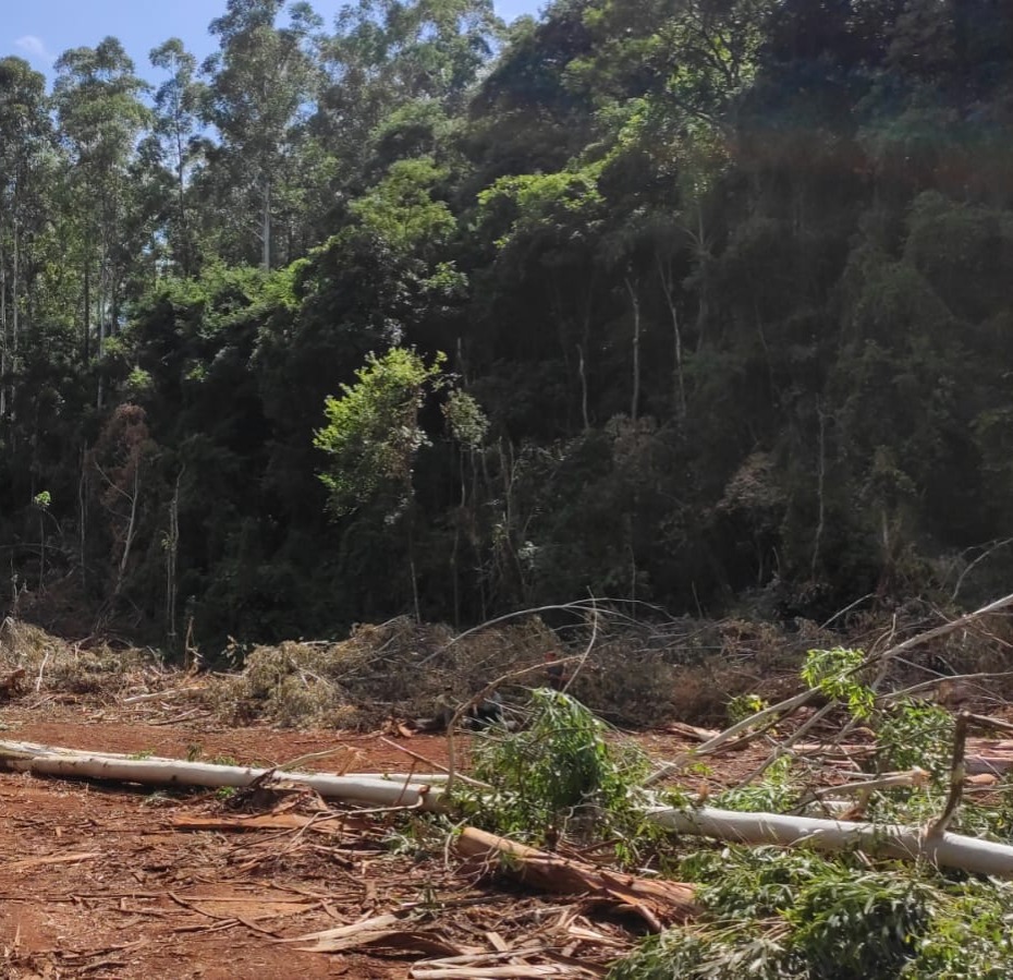 Homem morre em acidente de trabalho em Coronel Freitas