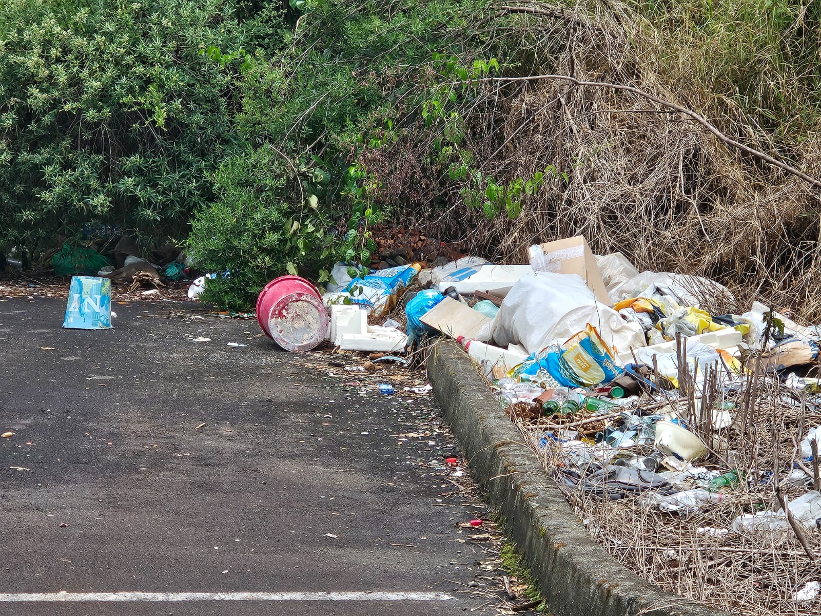 Denúncias revelam descaso com descarte irregular de lixo em São Domingos