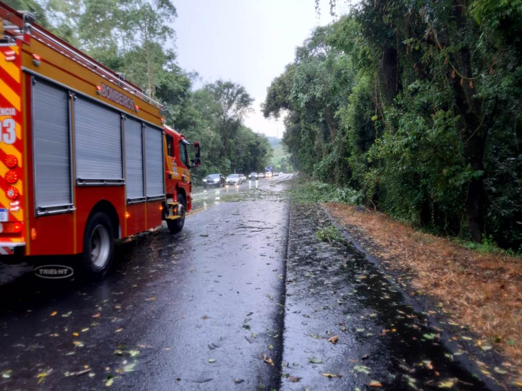 Fotos Corpo de Bombeiros