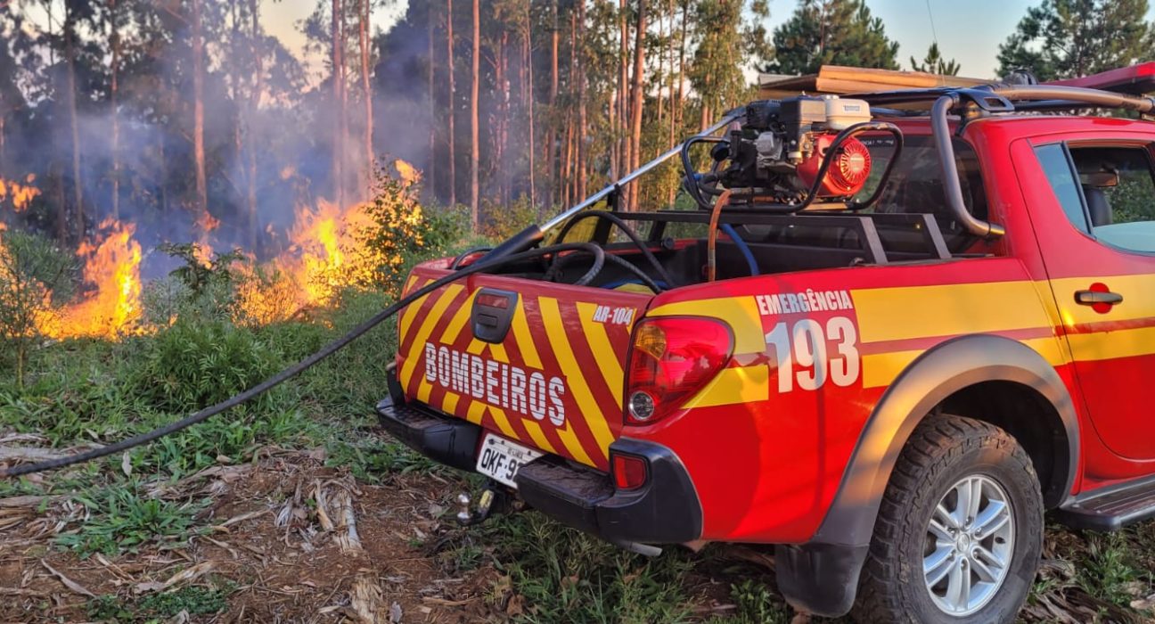 Incêndio em área de reflorestamento mobiliza bombeiros